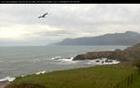 Shelter Cove Headlands webcam